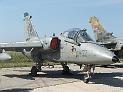 Aeritalia-Aermacchi-Embraer AMX (AM)